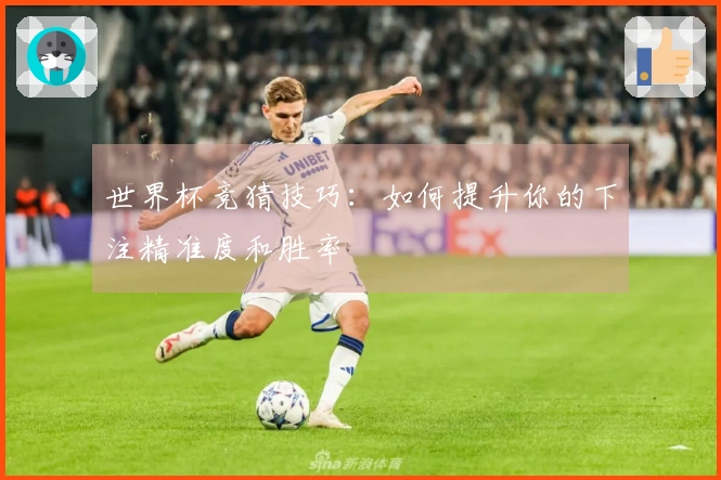 世界杯竞猜技巧：如何提升你的下注精准度和胜率