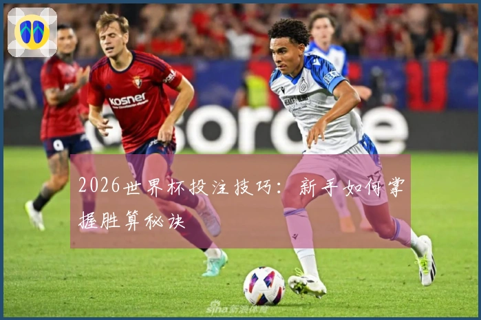 2026世界杯投注技巧：新手如何掌握胜算秘诀