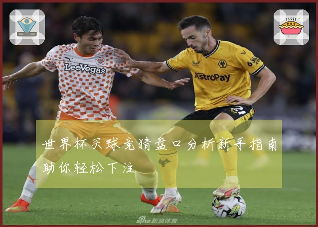 世界杯买球竞猜盘口分析新手指南助你轻松下注