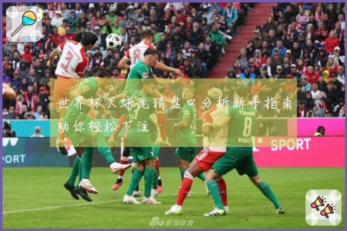 世界杯买球竞猜盘口分析新手指南助你轻松下注