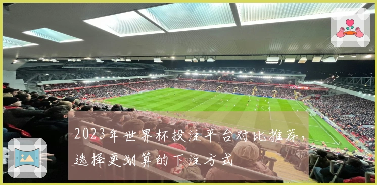 2023年世界杯投注平台对比推荐，选择更划算的下注方式