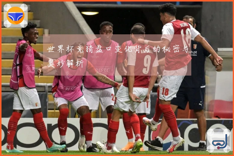 世界杯竞猜盘口变化背后的秘密与奥妙解析