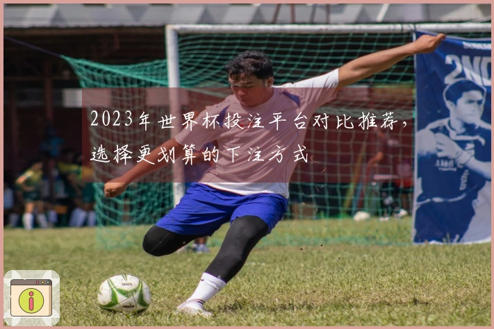 2023年世界杯投注平台对比推荐，选择更划算的下注方式