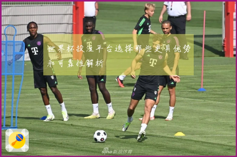 世界杯投注平台选择那些更具优势和可靠性解析