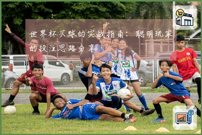 世界杯买球的实战指南：聪明玩家的投注思路分享