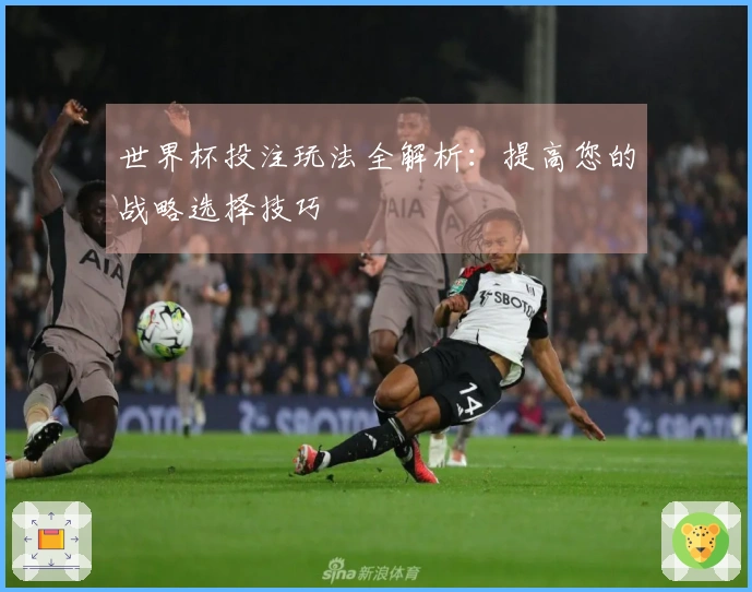 世界杯投注玩法全解析：提高您的战略选择技巧