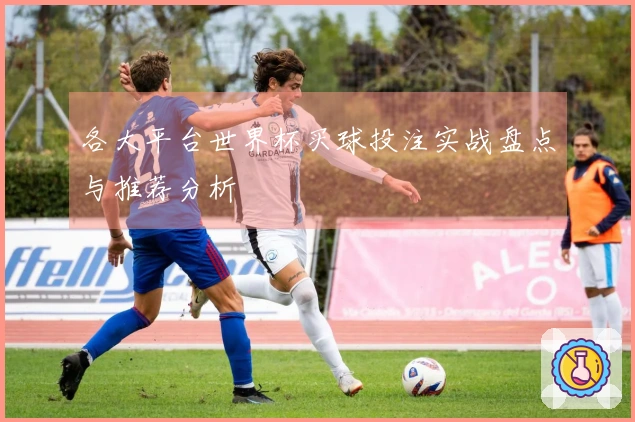 各大平台世界杯买球投注实战盘点与推荐分析