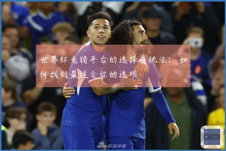 世界杯竞猜平台的选择与玩法：如何找到最适合你的选项
