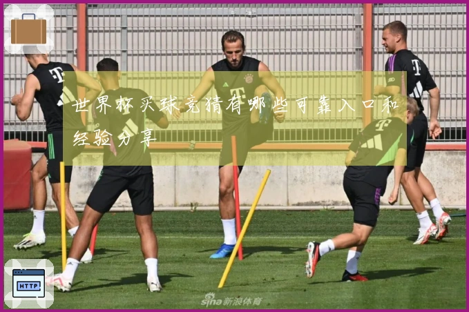 世界杯买球竞猜有哪些可靠入口和经验分享